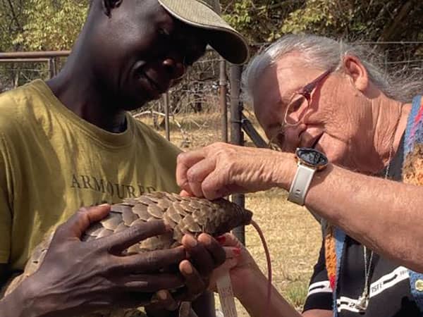 Examining wildlife in Zimbabwe