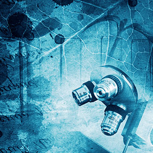 Scientific microscope