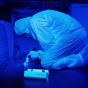 Crime scene being investigated