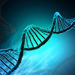 DNA strand