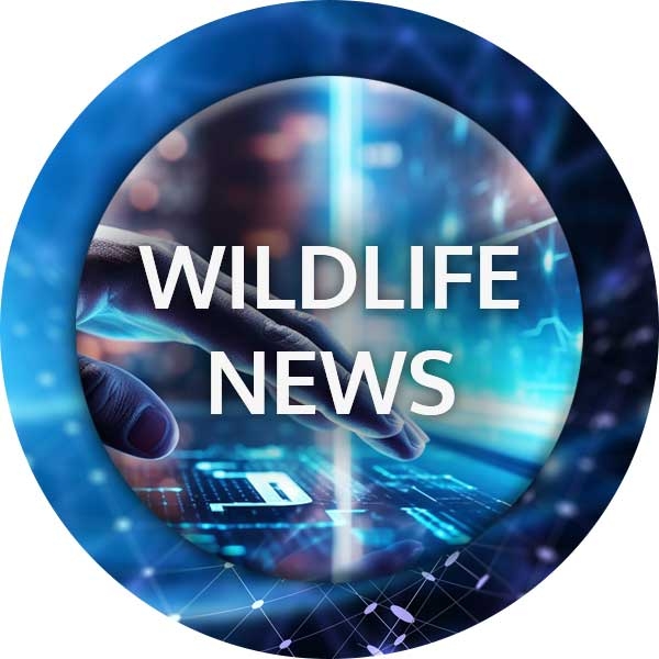 Forensic Response UK supporting World Pangolin Day